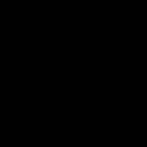 Meet your Posher, Maliyah